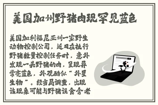 欧美高清vivoesosexo10