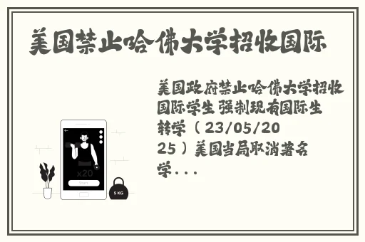 YELLOW字幕网免费观看完整视频