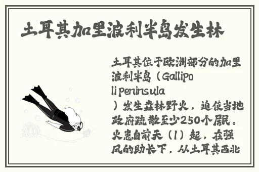 聊天约炝哪个软件好用